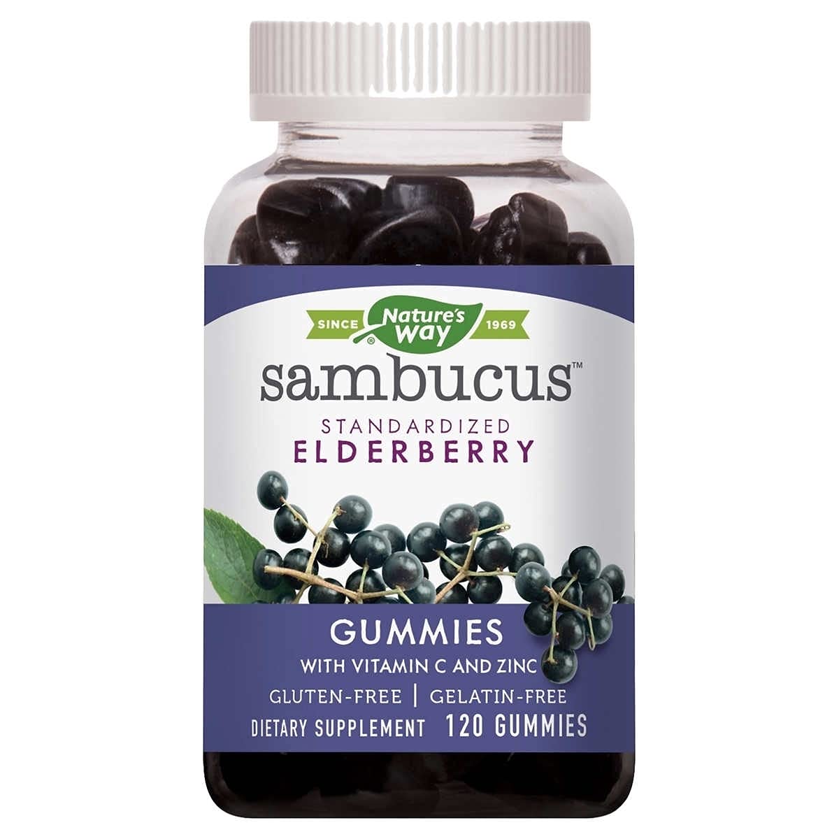 Amazon.com: Nature's Way Sambucus Elderberry with Vitamin C and