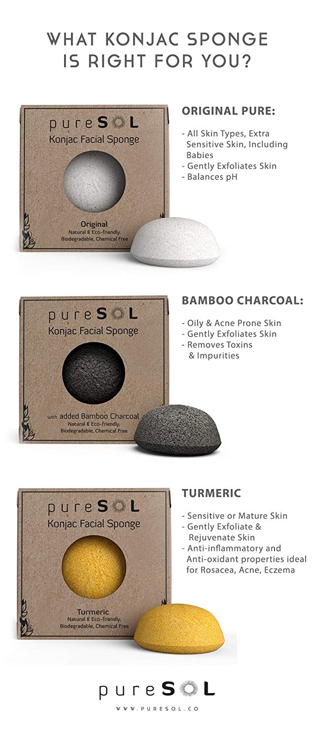 Amazon.com: pureSOL Konjac Facial Sponge - Activated Charcoal
